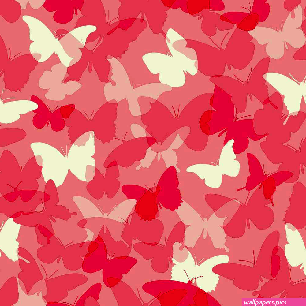 100 Cute Pink Butterfly Wallpapers