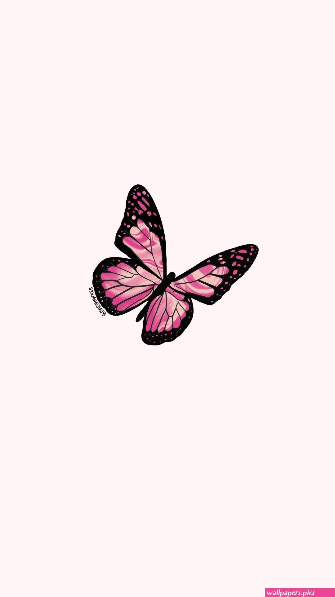 Share more than 51 pink wallpaper butterfly super hot