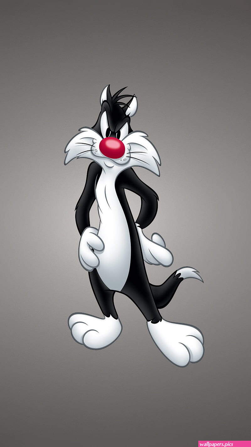Looney Tunes cartoons cat sylvester HD phone wallpaper