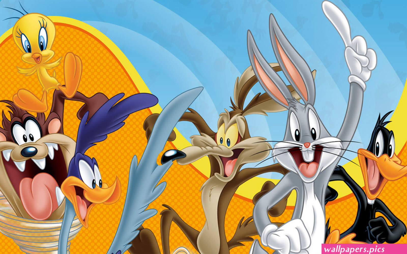 Looney Tunes Bugs Bunny Road Runner Daffy Duckand Coyotetweety Bird And Tasmanian Devil Cartoon Full Screen Wallpaper Hd For Desktop 1920x1200 : Wallpapers13.com