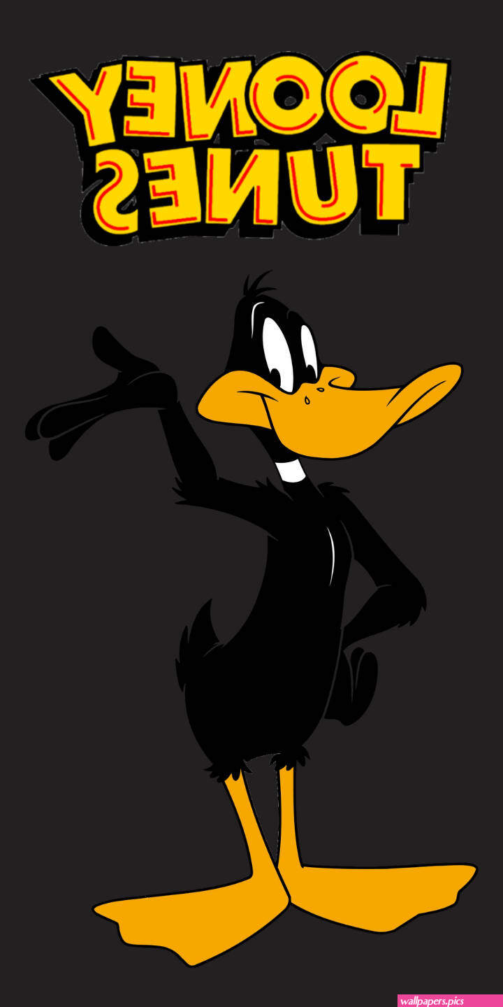 Download Looney Tunes Daffy Duck Wallpaper