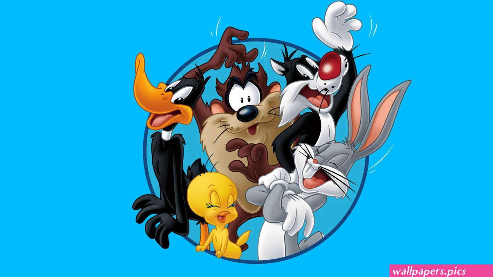 TV Show Looney Tunes HD Wallpaper