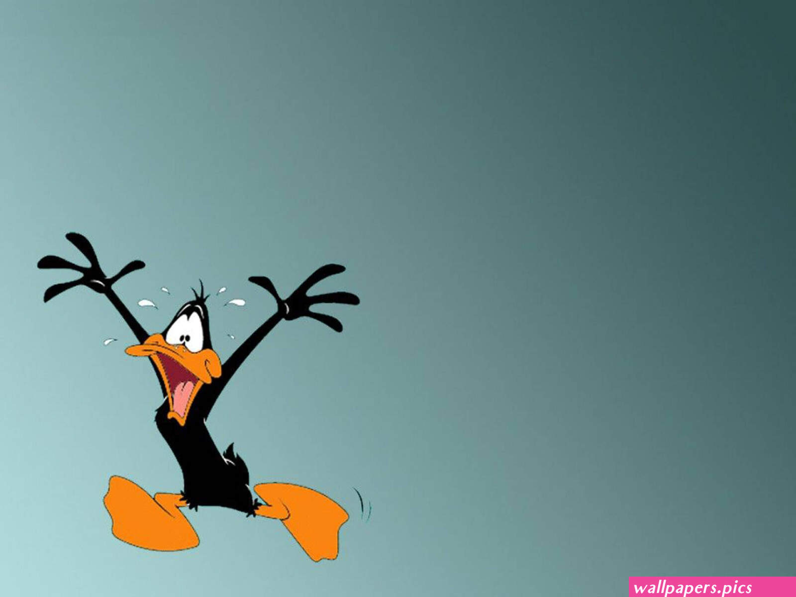 200 Looney Tunes Wallpapers