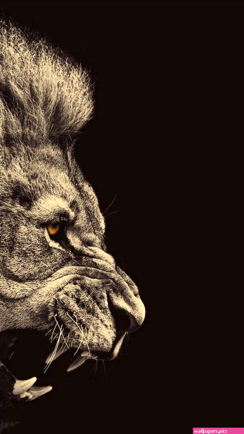 [Resim: lion-wallpapers-for-iphone-and-ipad-13.jpg]