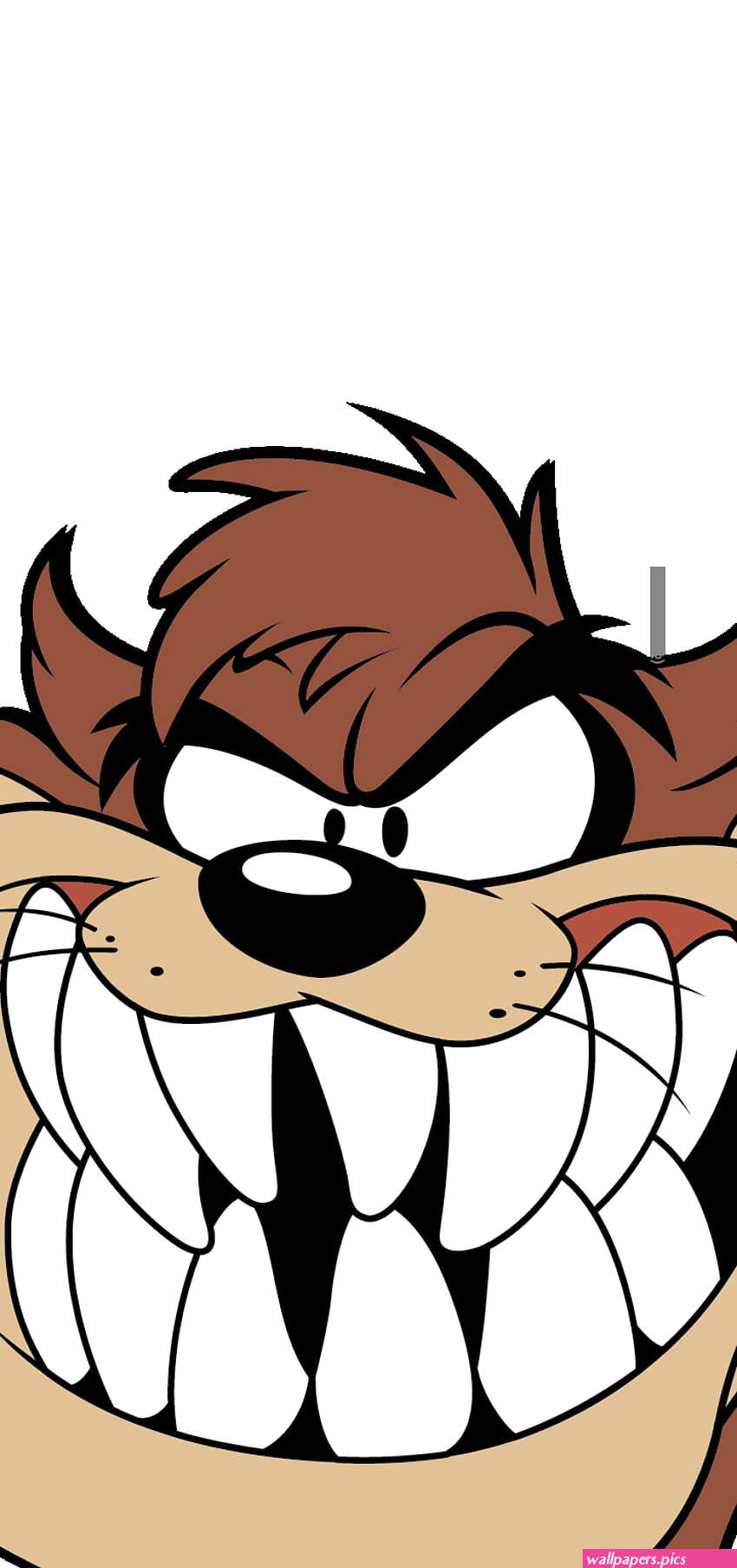 Looneytunes HD phone wallpaper