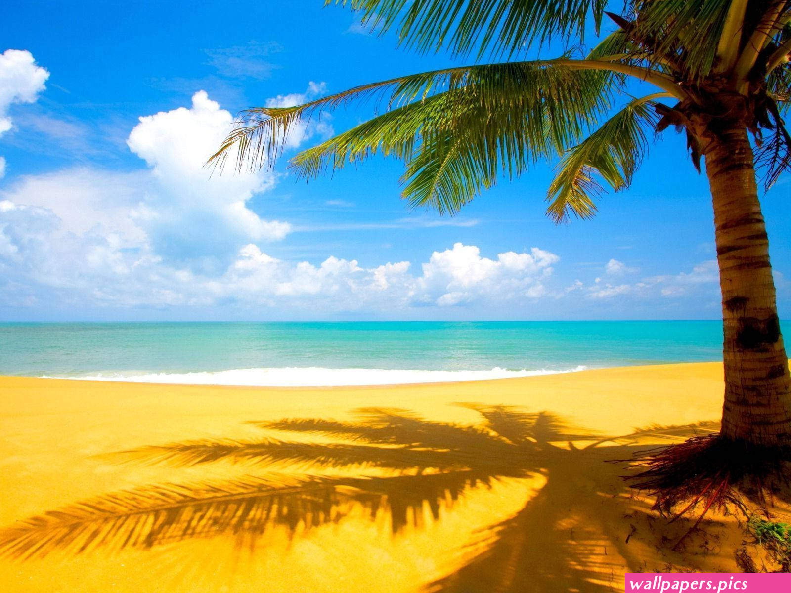100 Puerto Rico Wallpapers