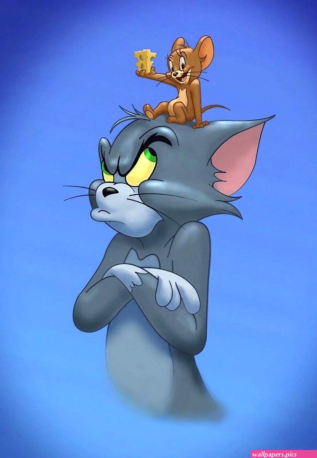 Tom and jerry hd Wallpapers Download