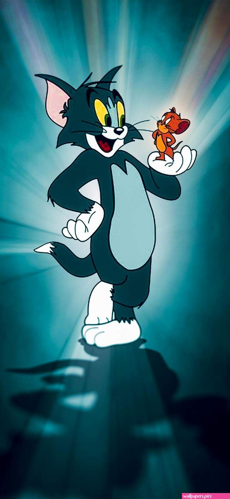 Tom jerry