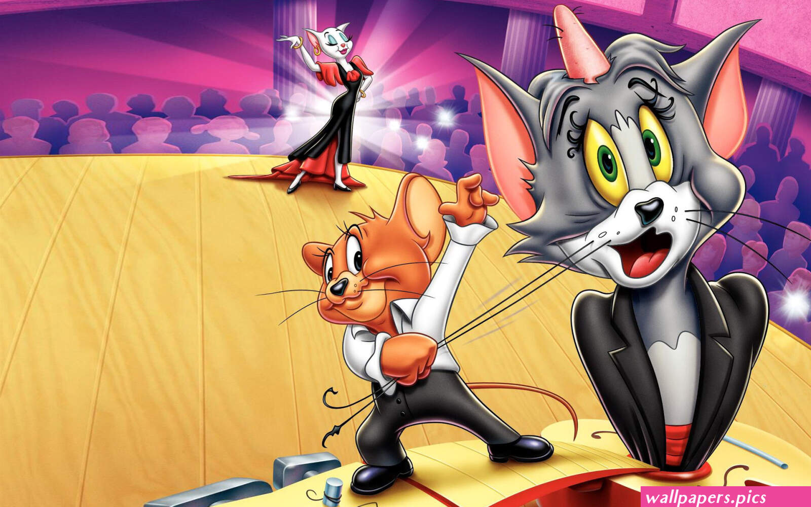 Tom And Jerry Magic Show Wallpapers Hd 1920x1200 : Wallpapers13.com