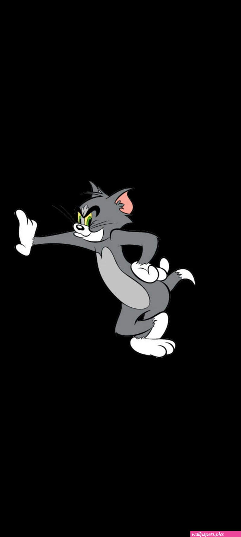TOM jerry HD phone wallpaper