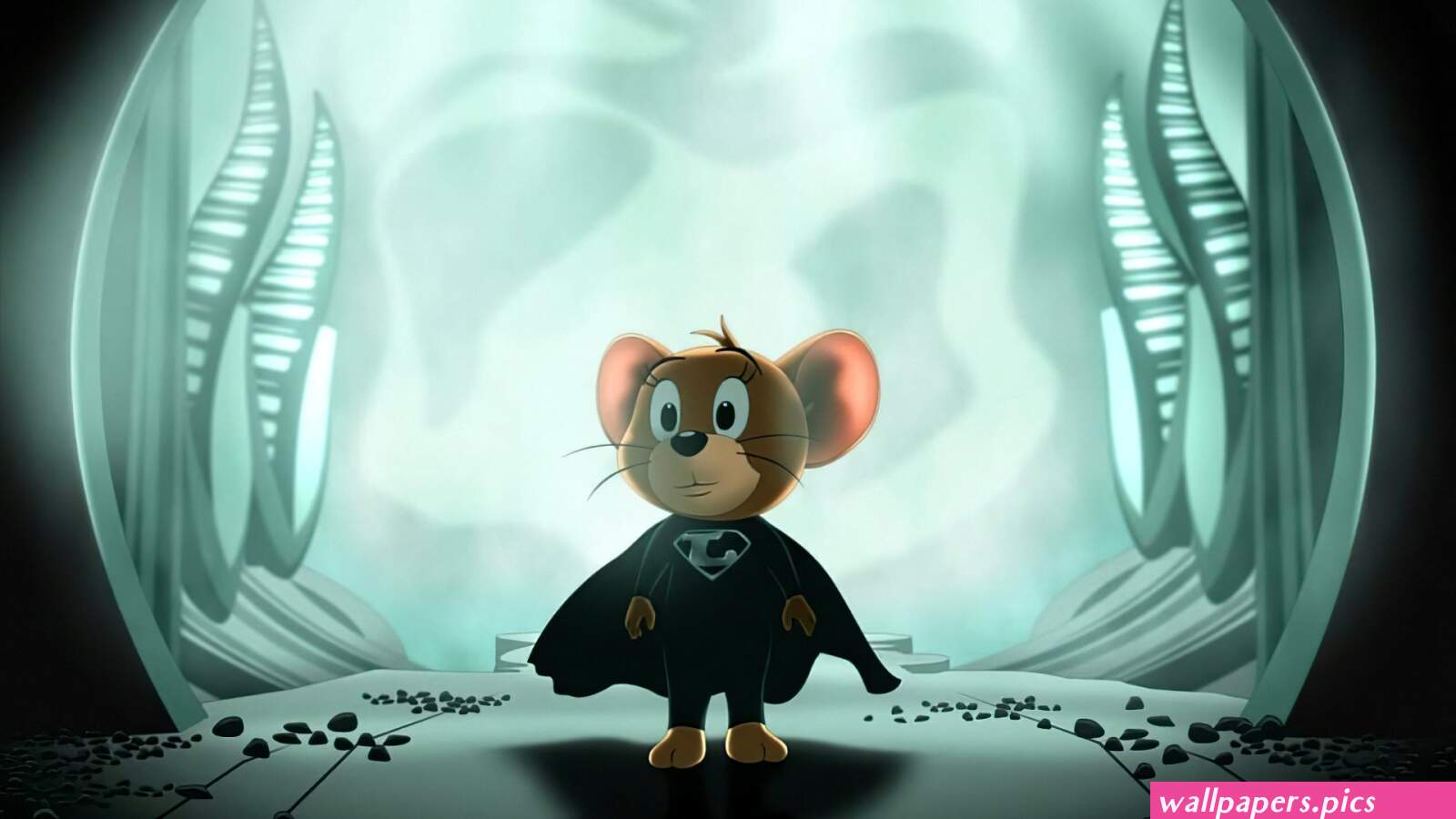 30 Jerry Tom and Jerry HD Wallpapers and Backgrounds