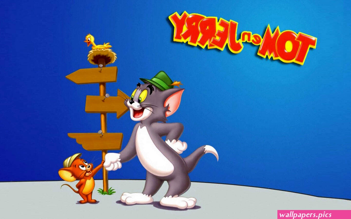 Tom And Jerry The Popular Cartoon Characters Hd Wallpaper For Desktop 2560x1600 : Wallpapers13.com