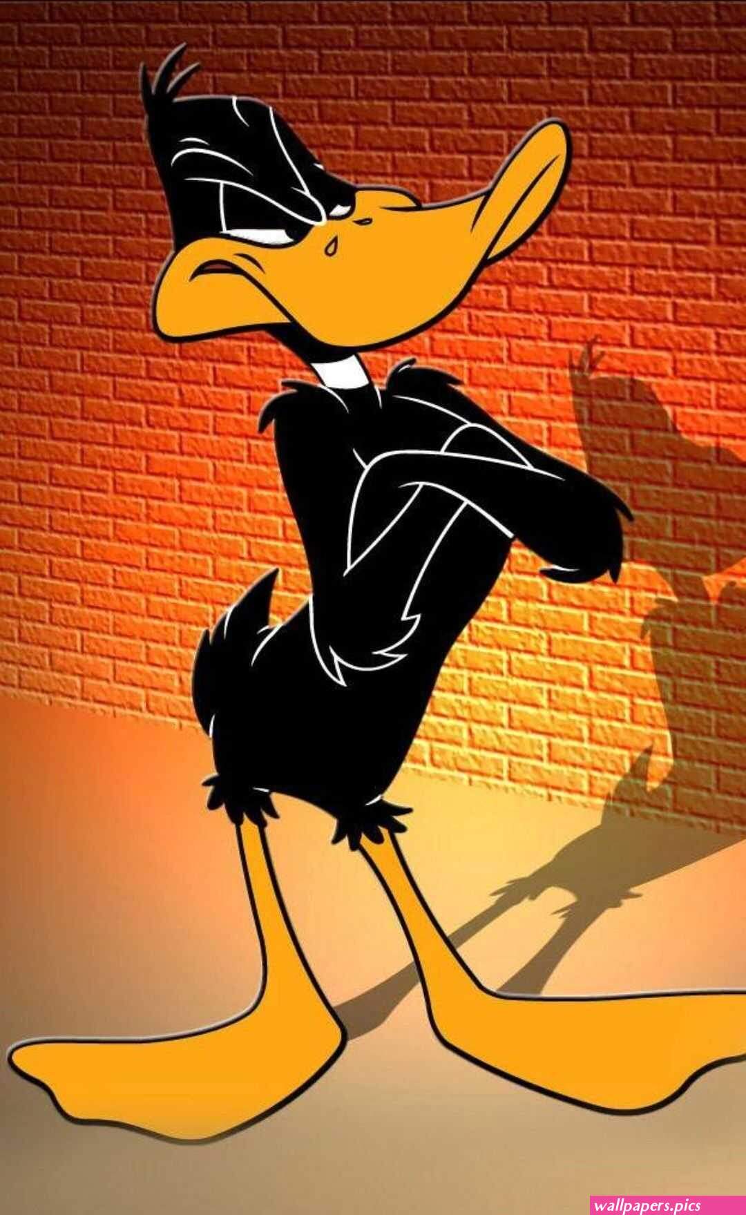 Looney Tunes Wallpaper