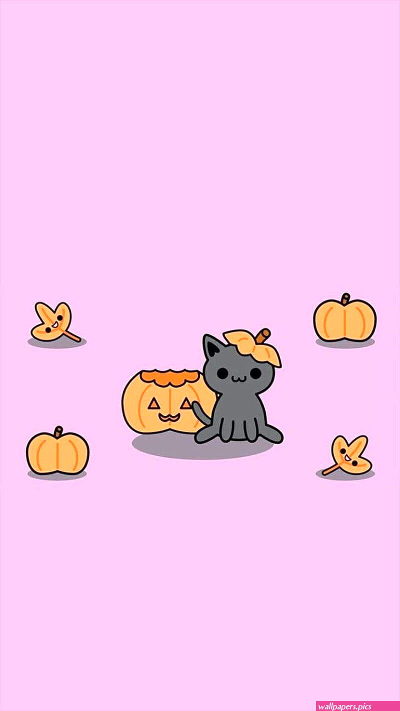 Halloween kitty cats cute decoration halloween orange purple HD phone wallpaper