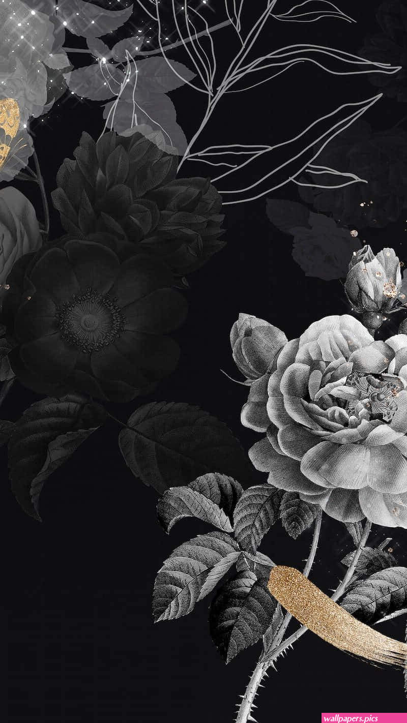 100 Aesthetic Dark Backgrounds