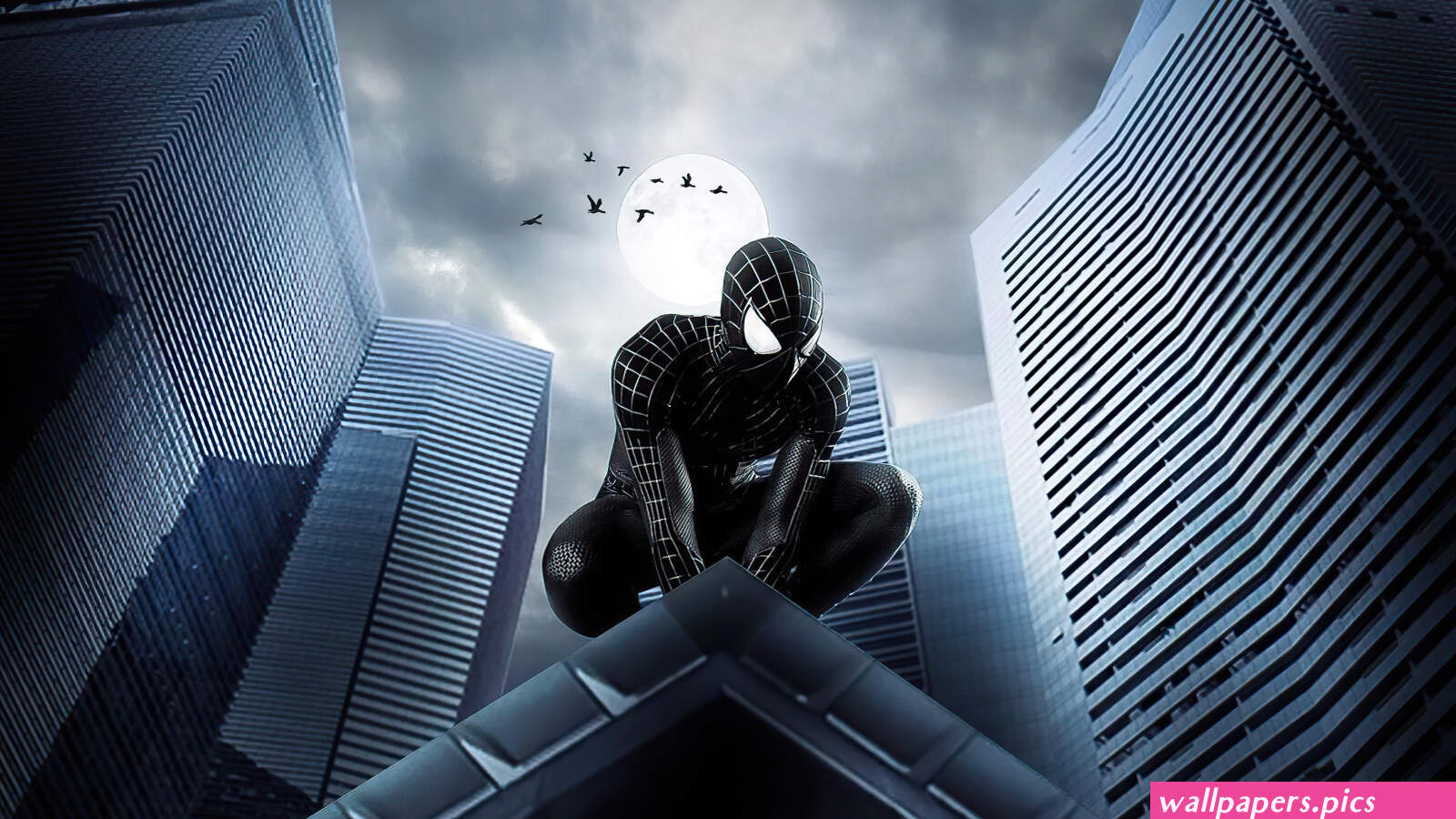 Spider Man Dark Knight Wallpaper HD Superheroes 4K Wallpapers Images and Background