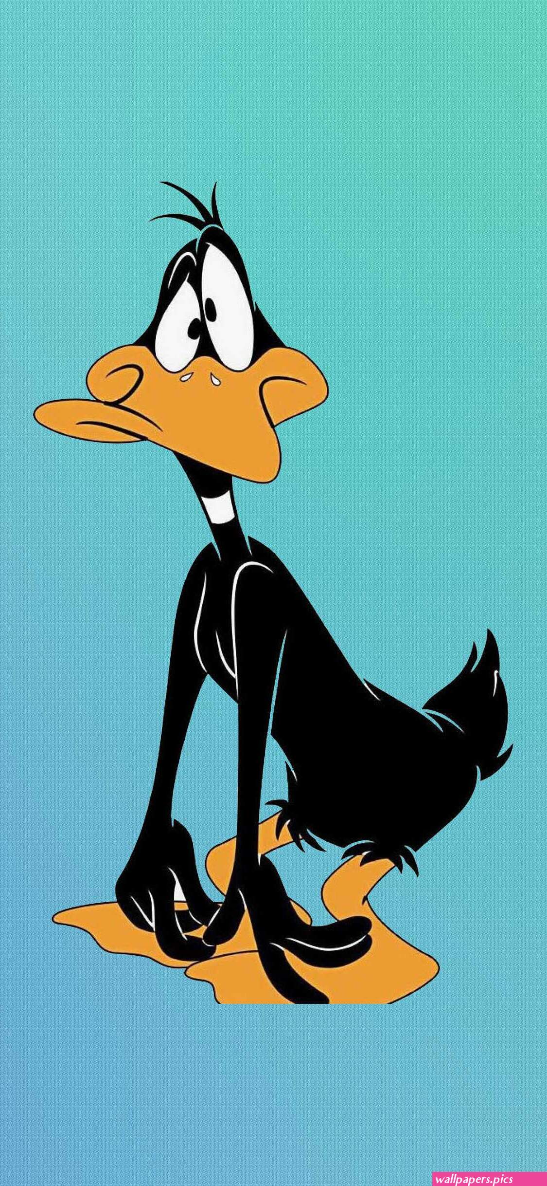 Looney Tunes Wallpaper